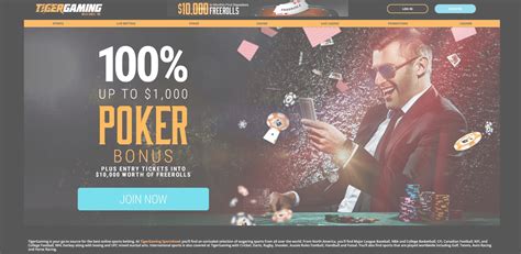 tigergaming poker|247 free video poker.